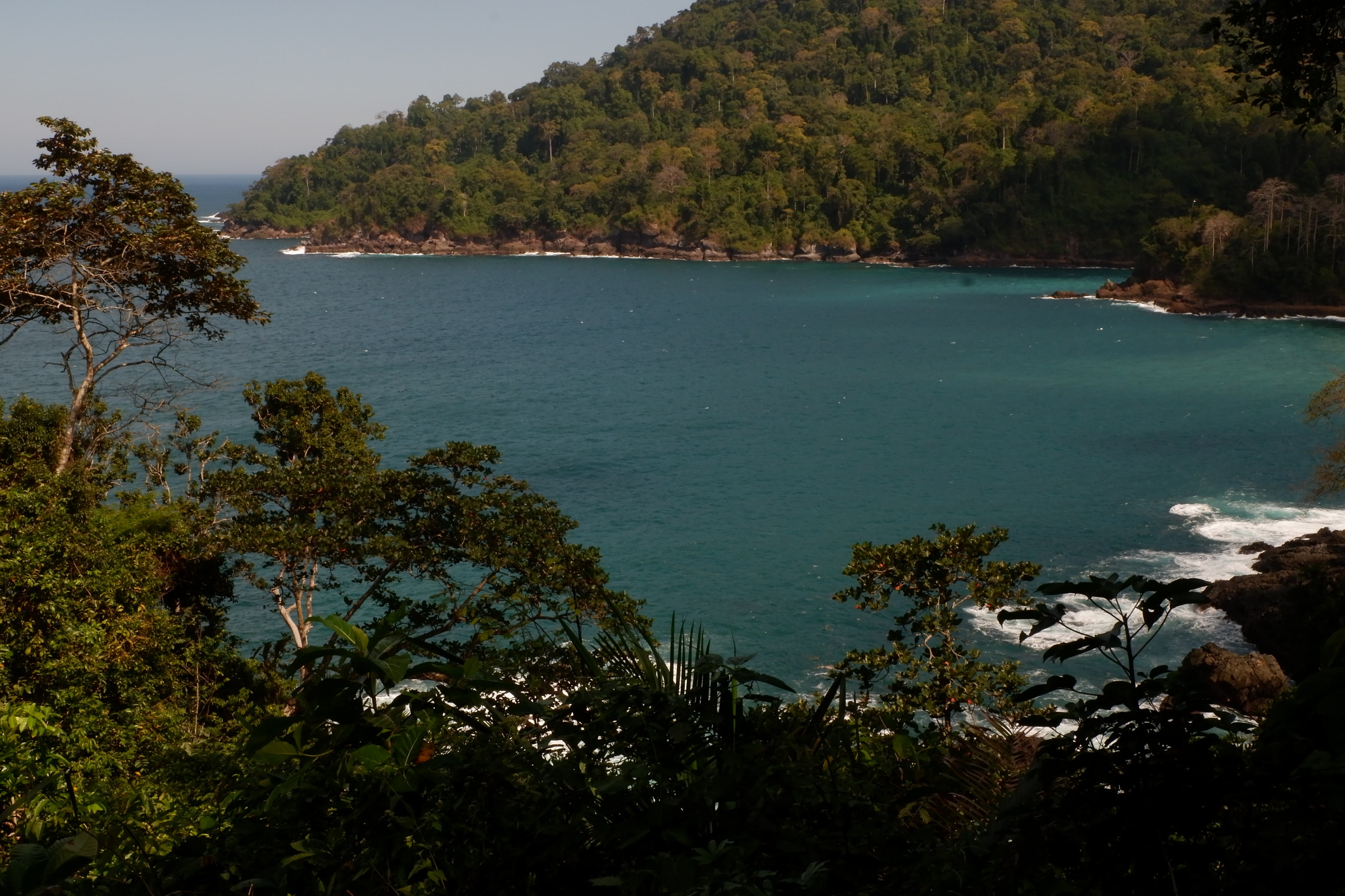 Batuan Terobosan Teluk Hijau 