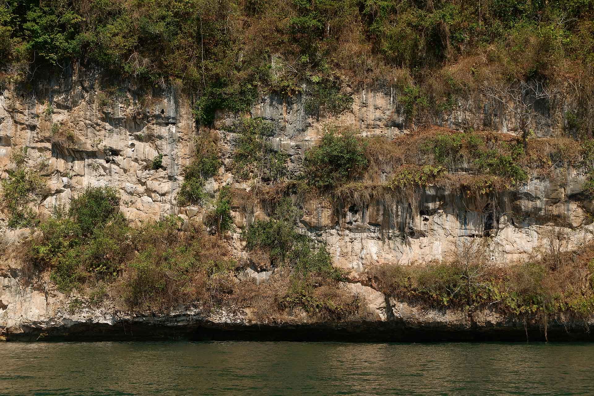 Neogene Limestone Sembulungan