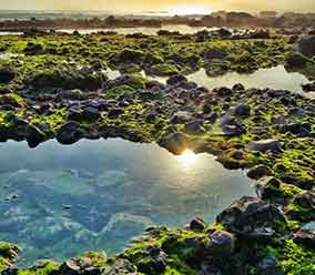 Fossil Parang Ireng Beach